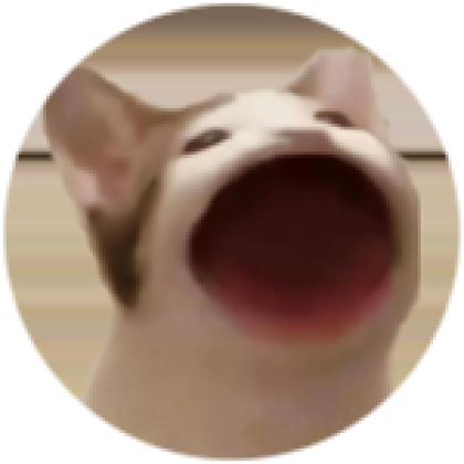 pop cat - Roblox