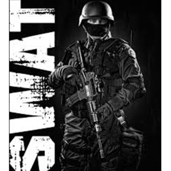 SWAT VS Military