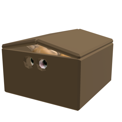 Orange cat in a box dyanmic - Dynamic Head