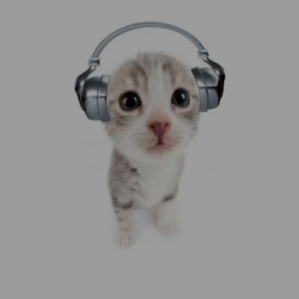 Cute Cat Pfp's Code & Price - RblxTrade
