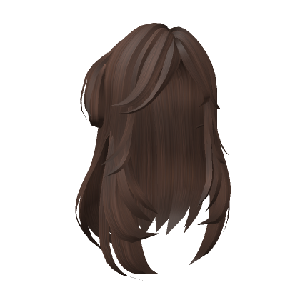 Roblox Item Half-Up Bunned Messy (brown)