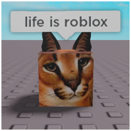 meme cat pfp  Roblox Item - Rolimon's