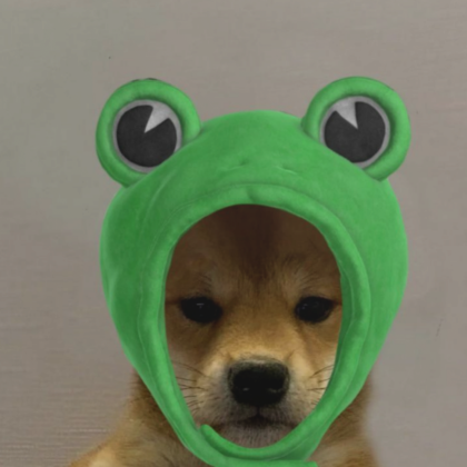 Cute Cat Frog Pfp  Roblox Item - Rolimon's