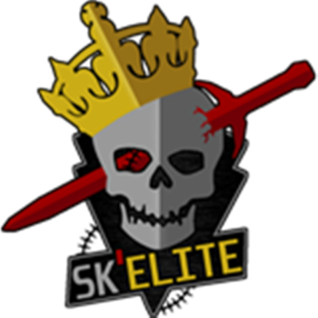 Sk'elite Arena