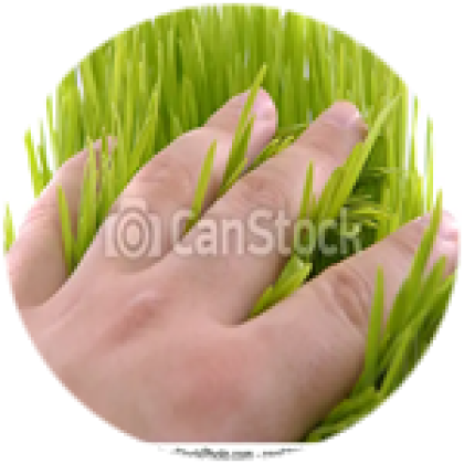 Touch Grass - Roblox