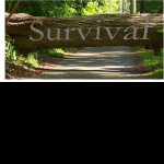 (Alpha) Survival