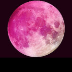 The Pink Moon Guides Me