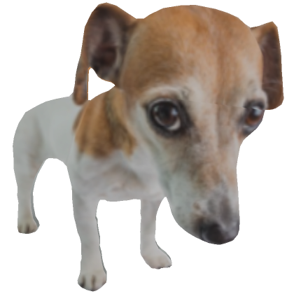 Dog's Code & Price - RblxTrade