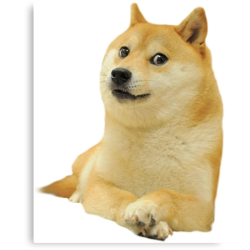 Doge takes over part ##