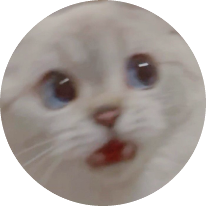 Shocked Cat Kitten Meme pfp Profile Picture Funny's Code & Price - RblxTrade