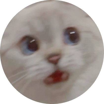 Cat - Discord Pfp