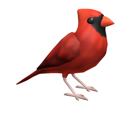 Roblox Item Red Northern Cardinal
