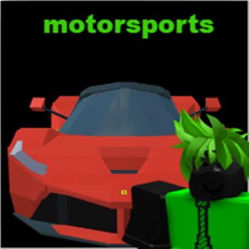 Motorsports racing (BETA)