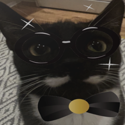 Roblox woman face cat in 2023  Funny cat faces, Cute cats, Cats