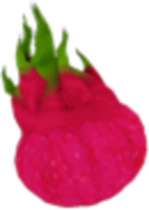 Dragon Fruit - Roblox