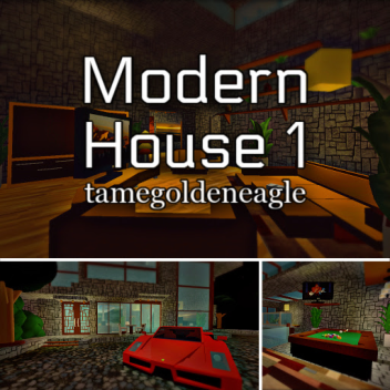 Modern House 1
