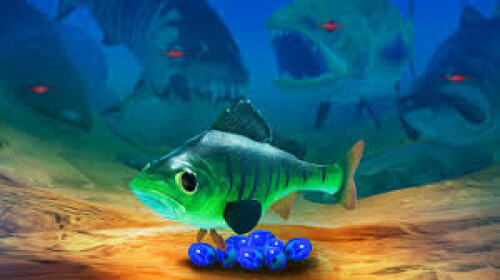 3 EP - FEED AND GROW FISH #sobrevivência #feedandgrowfish  #feedandgrowfishgameplay#peixes 