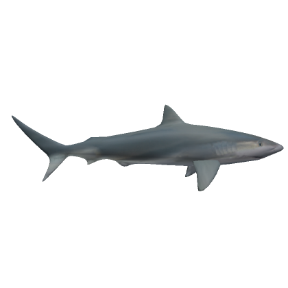 Realistic Shark (Shoulder) - Roblox
