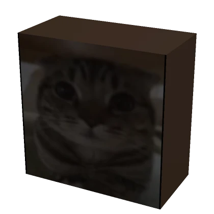 cute cat holdable cube | Roblox Item - Rolimon's
