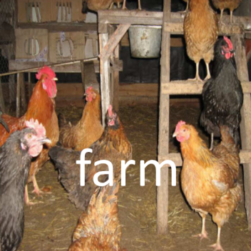 Farm with all animals 