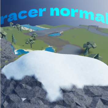 Normal Racer