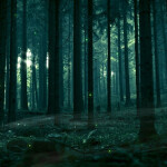 Dark Forest [Horror]