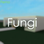 Fungi Regional Airport | Fly Ferno