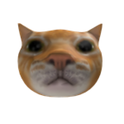 stare cat meme