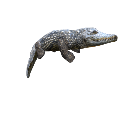 Crocodile (Alligator), Anime Mania (Roblox) Wiki