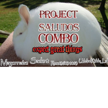 [MASSIVE UPDATE] Project Saludos Combo (PROJECT CA