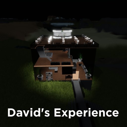 (⛰️) David's Experience
