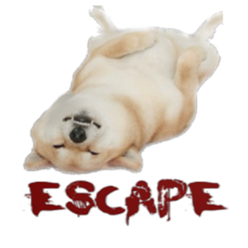 Escape Doge Obby!