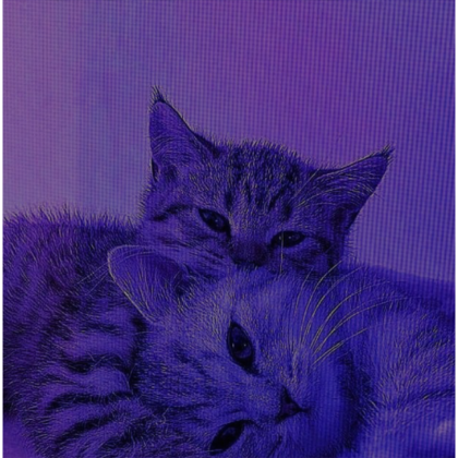 Cute Hugging Cats Profile Picture's Code & Price - RblxTrade
