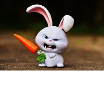 Escape The Evil Bunny