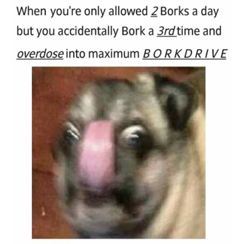 Pugs That Bork HQ
