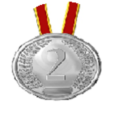 Medal roblox