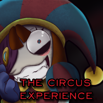 Das Zirkus-Erlebnis 🎪