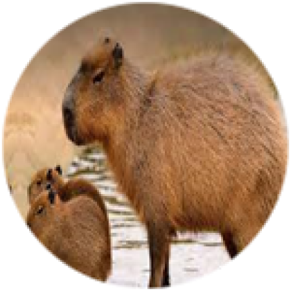 capybara - Roblox