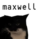 maxwell hangout