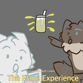 The Plane Experience.