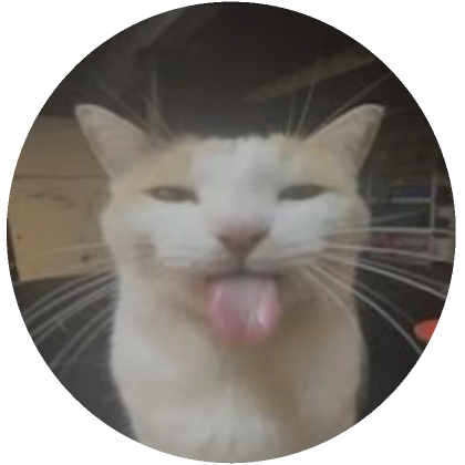 Beautifull Cat Face pfp  Roblox Item - Rolimon's