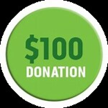 Big Donation - Roblox