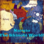 The Shinobi World