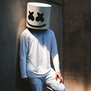 Hang Out With Marshmello!!!!