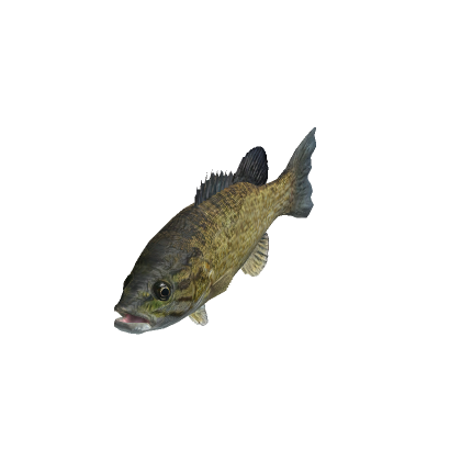 Holdable Fish - Roblox