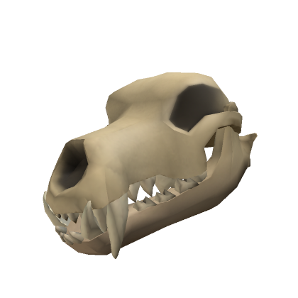 Cursed Skulls  Roblox Item - Rolimon's