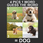 ❓Guess The Word - 4 Pics 1 Word 