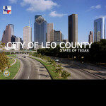 LEO COUNTY STATE OF TX 