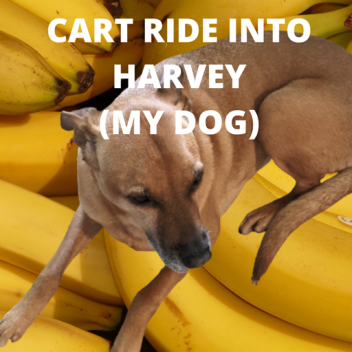 CART RIDE HARVEY (MY DOG)