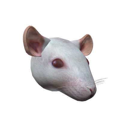 Realistic Rat | Roblox Item - Rolimon's